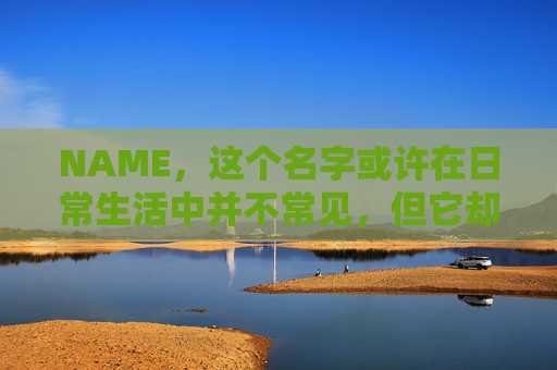 NAME，这个名字或许在日常生活中并不常见，但它却在某些领域里扮演着重要的角色。今天，让我们一起来探索这个名字背后的故事和意义